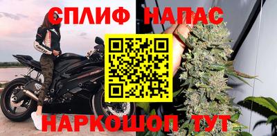 сатива Кунгур