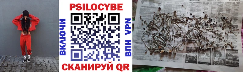 Псилоцибиновые грибы Psilocybe  закладки  Костомукша 